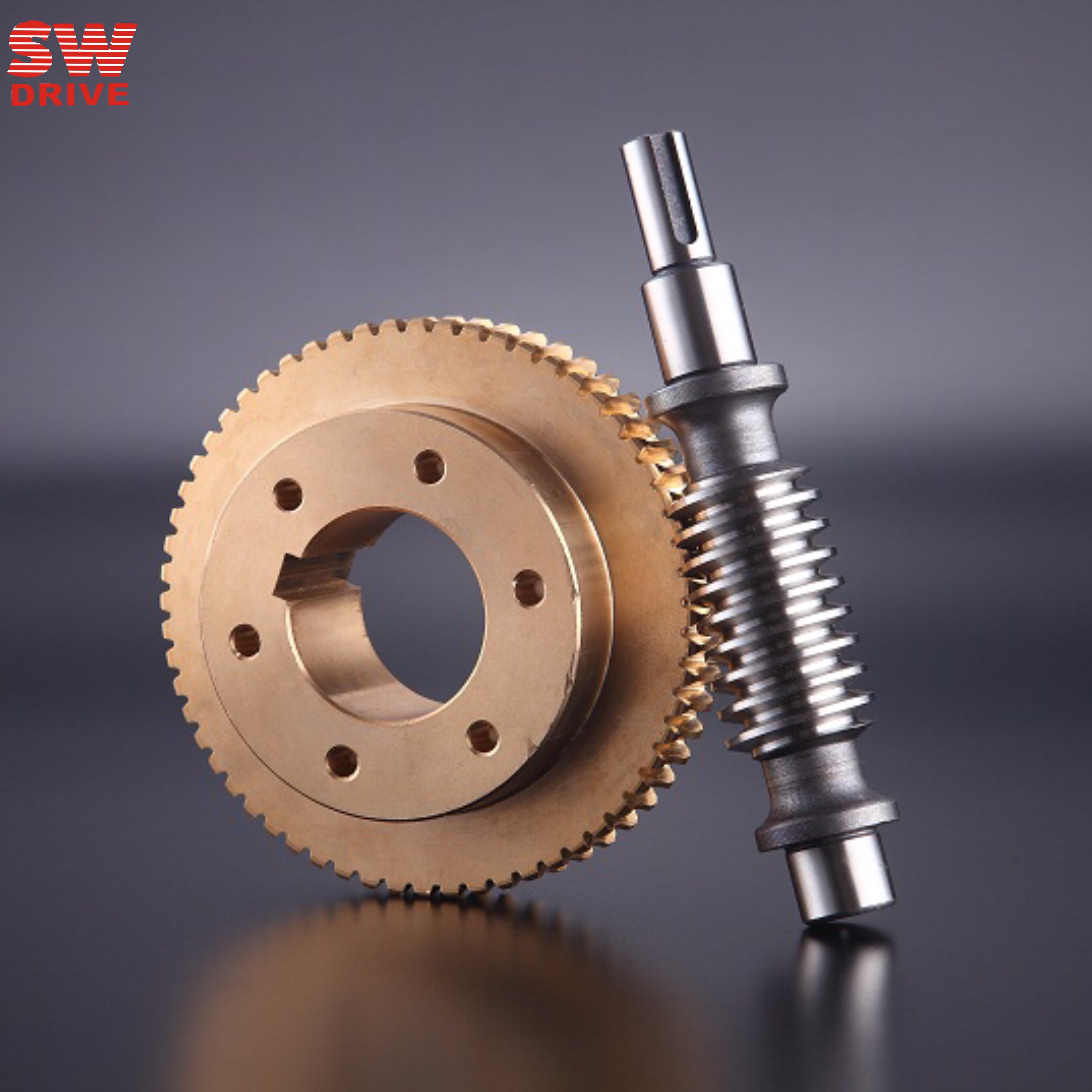 尚為傳動(dòng)蝸輪蝸桿