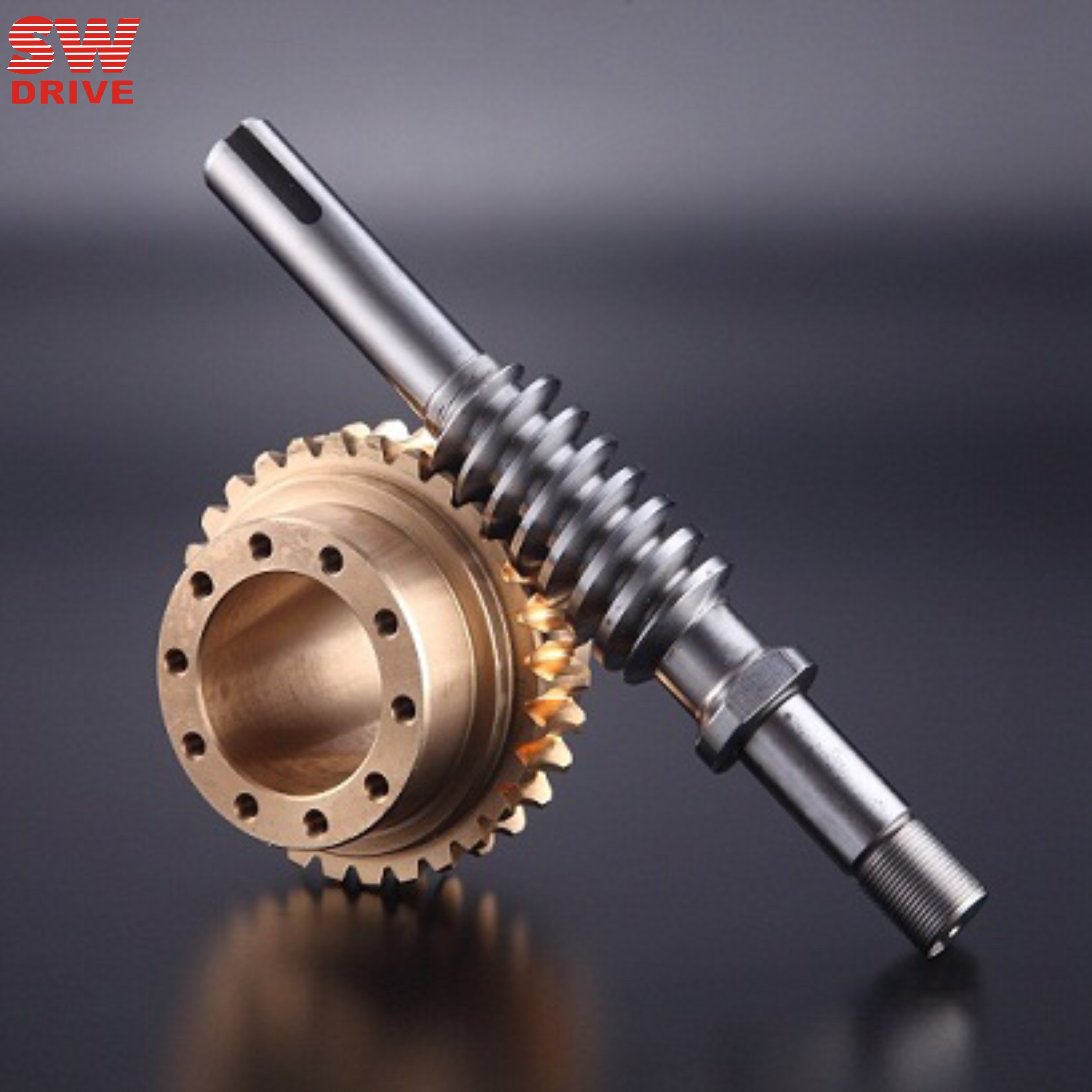 雙導程蝸輪蝸桿